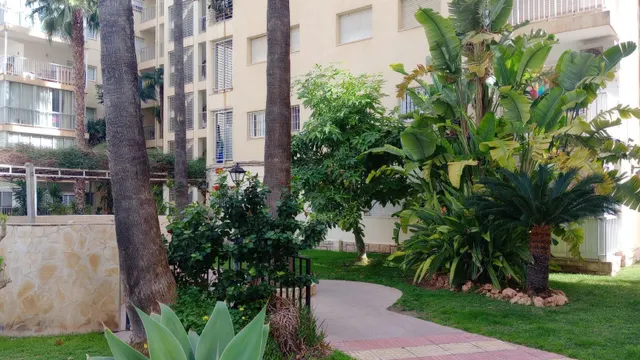 Amplio piso con vistas al mar y 4 dormitorios en 1 Línea playa Levante. — 35