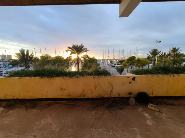 EN EL PUERTO TOMAS MAESTRE. UN OASIS EN MITAD DE LA MANGA — 2