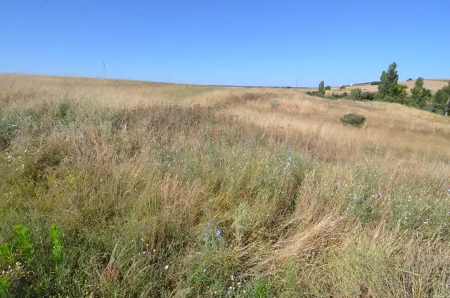 Urbis te ofrece un terreno en venta en Almenara de Tormes, S - foto 5