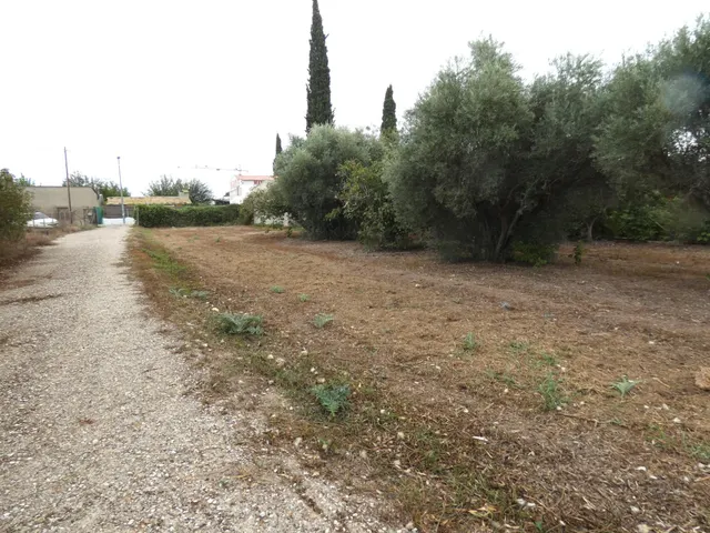 +Oportunidad Única: Casa para Reformar en Entorno Rural y Ecológico+ — 6
