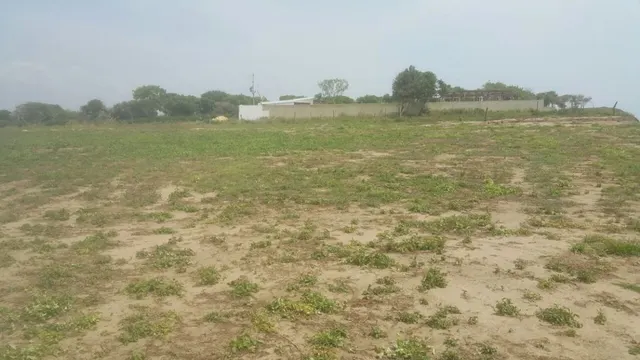 Venta de terreno con playas en sector de Punta Canoa — 8