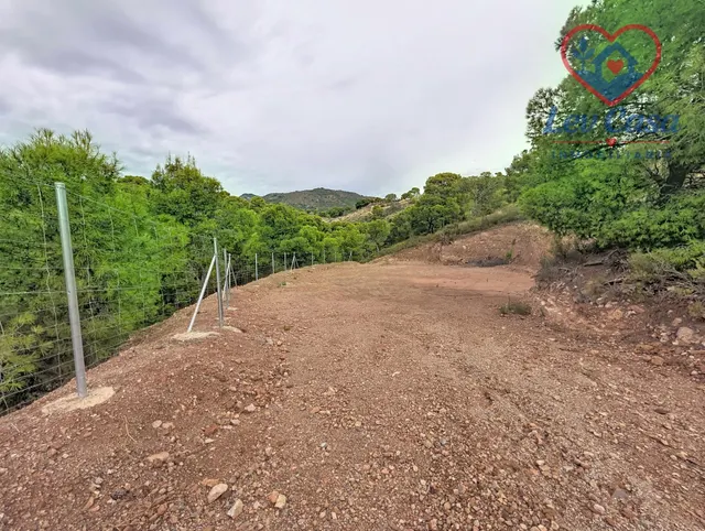 FINCA DE 10.400 M2 CON PISCINA EN SIERRA ESPUÑA — 120.000 € — 19