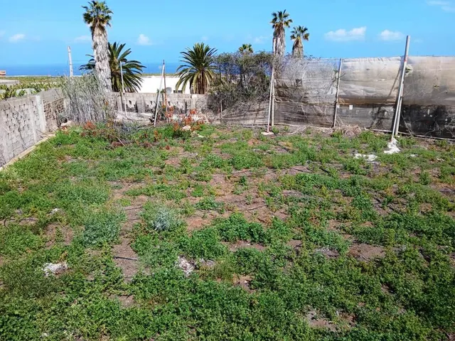 Casa con finca en Buenavista del norte — 10