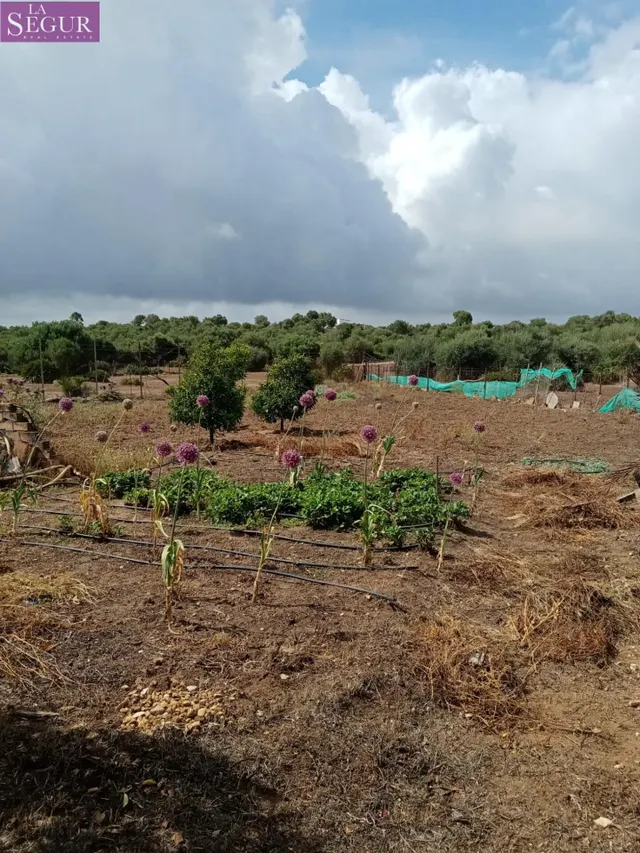 FINCA RÚSTICA VACACIONAL - EXCELENTE SITIO PARA DESCONECTAR. — 43