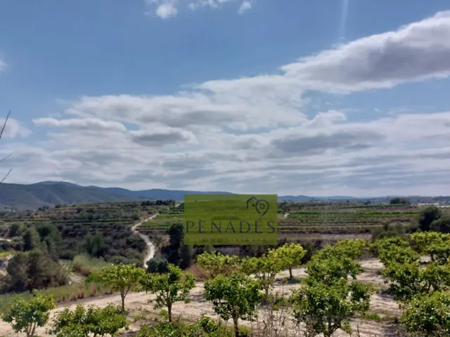 Espectacular Finca en Venta en Bèlgida — 30