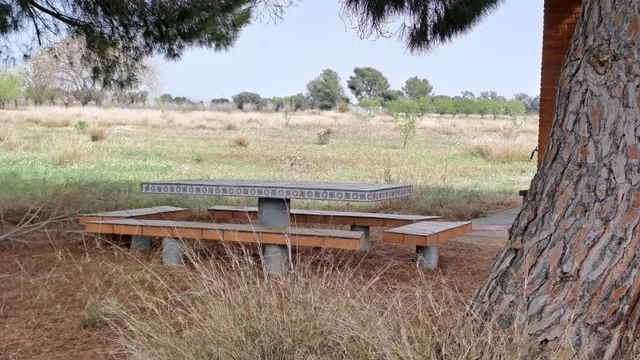 Finca rústica en venta en Constanti — 13