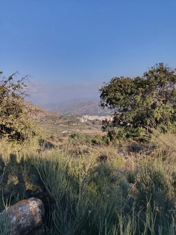 Parcela en venta - Alora pueblo — 9