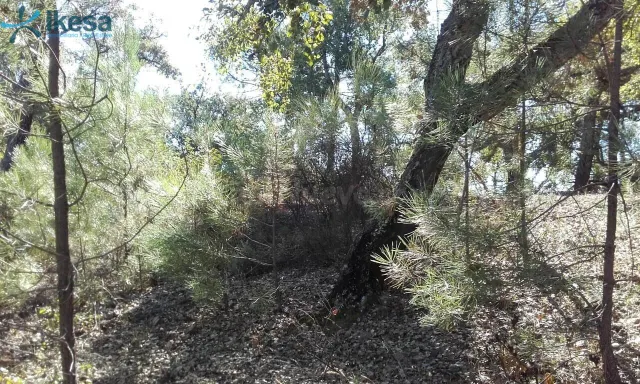 VENTA DE TERRENO RÚSTICO EN VALDELARCO, HUELVA