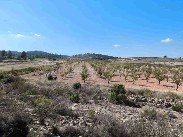 Suelo rústico en Venta en Jumilla Murcia — 13