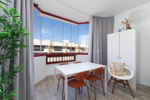 Estudio en primera línea de playa en Hotel Las Palmeras – Fu - foto 5
