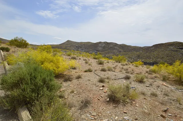 Terreno urbanizable en venta - GERGAL - foto 3