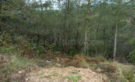 Solar en venta - Montmell El