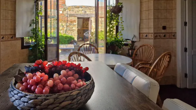 ALQUILER CHALET CON PARCELA EN HIGUERA DE VARGAS — 24