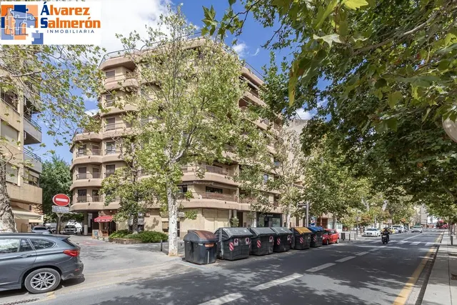 Pisazo en paseo del salón - Granada — 44