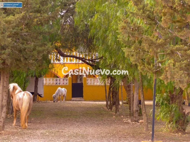 Venta de casa con 9 dormitorios y terreno de 11.000 m2 en el - foto 2