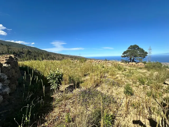 Santuario ecológico entre pinos, mar y estrellas - foto 3