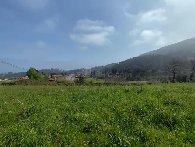 Parcela 1560m² en venta - Cudillero - foto 2