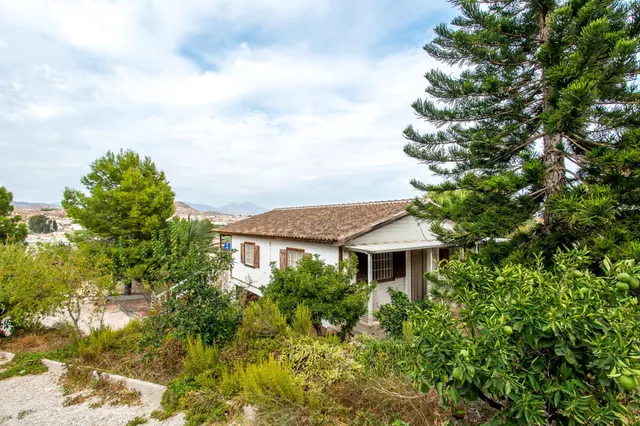 Casa rustica en Archena con vistas despejadas en parcela de mas de 1200m2 — 50