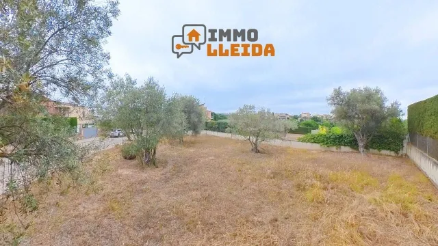 ¡Haz realidad la casa de tus sueños en Cervera! - foto 4