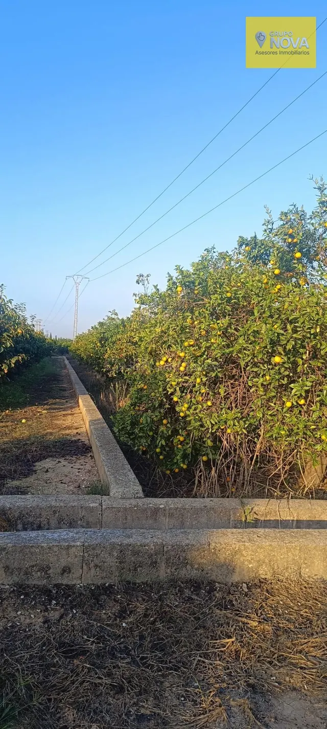 Oportunidad de Inversión: Terreno Rústico con Árboles Frutal