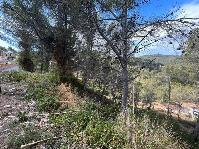Olivella zona Mas Mestre se vende terreno. - foto 4
