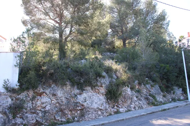 Parcela en venta - Urbanizacion tossal gross - foto 5