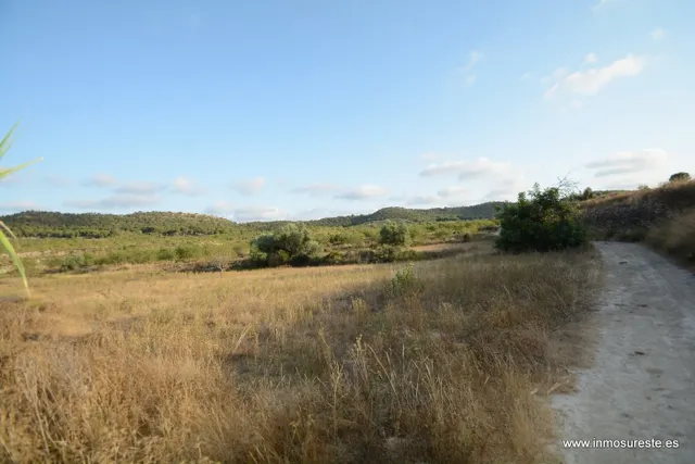 Terreno rústico de secano en la pedanía de Torremendo, Orihuela. 17.000 m2. de superficie. — 3