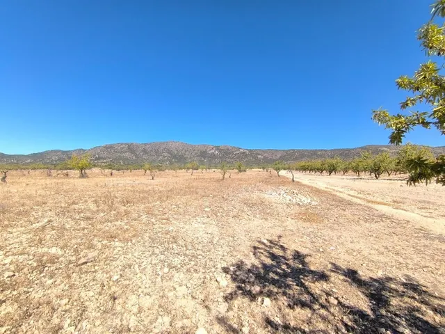 Parcela en venta en Monóvar, Comunidad Valenciana - foto 3