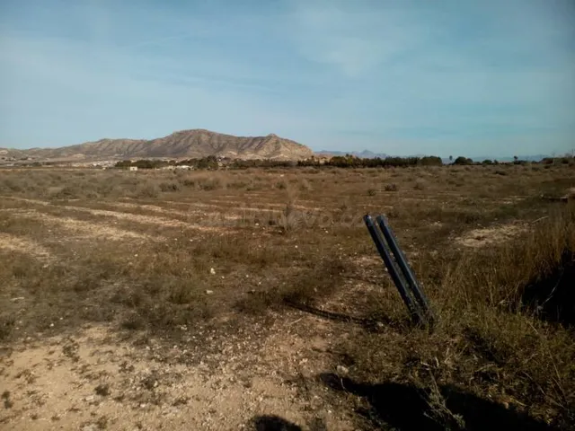 VENTA DE PARCELA DE 20.800 M2 EN ASPE EN BUENA ZONA CON AGUA - foto 2
