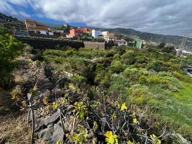 FINCA RÚSTICA CON ESTANQUE Y CUARTO DE APEROS EN ICOD DE LOS VINOS — 39