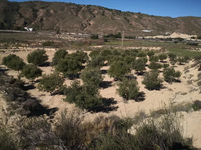 Se vende en Los Gallardos finca rústica en venta junto a la 