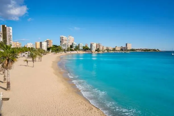 SE VENDE Moderno Piso en Mutxamel, Ideal para Disfrutar de la Costa Planta Baja en ALICANTE — 22