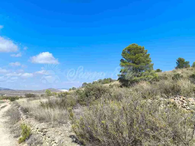 Suelo rústico en Venta en Jumilla Murcia — 14