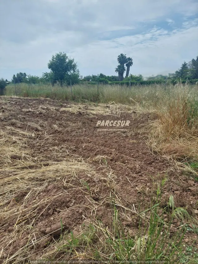 ctra aeropuerto, terreno de 1000m2 - foto 4