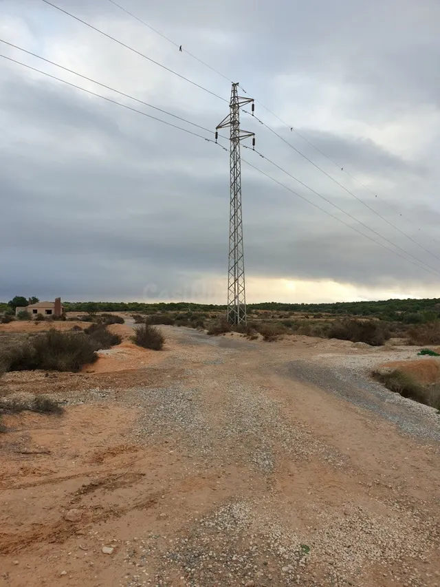 TERRENO EN EL MOLAR ( ZONA LA MARINA ) — 4