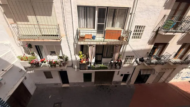 Alquiler de piso en Palangre — 10