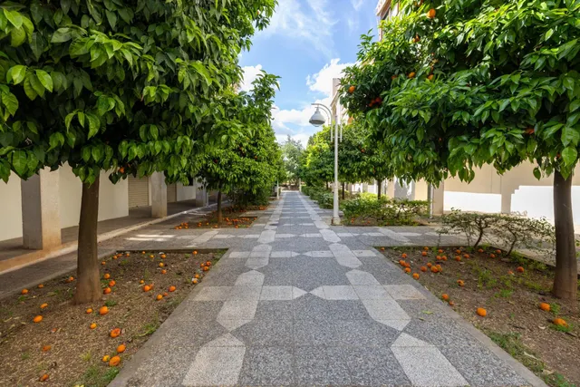 Bola de Oro - Apartamento de 2 dormitorios a estrenar — 14