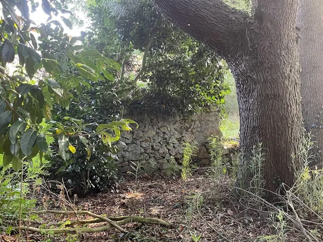 CASA SEÑORIAL DE 1807 CON FINCA DE 6.500M2. PERFECTA CASA RURAL — 49