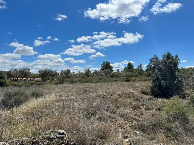 Finca rústica en venta - Aréns de Lledo - foto 5
