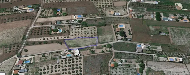 Terreno rural en venta - Marchena - foto 4