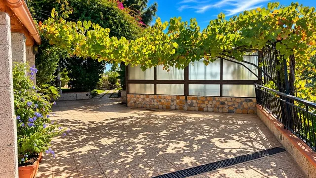 Finca exclusiva en Vilaflor · 2 viviendas, viñedo, bodega y piscina — 37