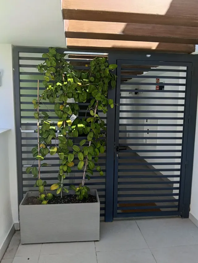 Ático 2 habitaciones 135m² en venta - Riviera del sol — 11