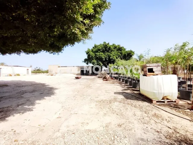 Fantástica casa de campo con parcela en la zona del campo de Elche, Alicante, Costa Blanca — 8