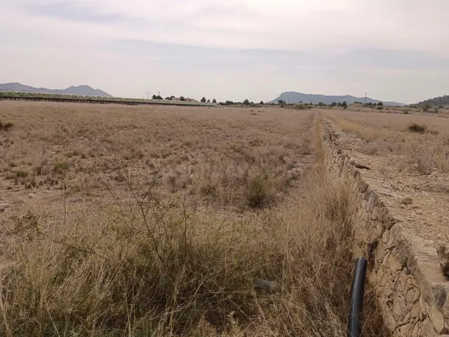VENTA DE PARCELA EN LA ROMANA (ALICANTE) - foto 4