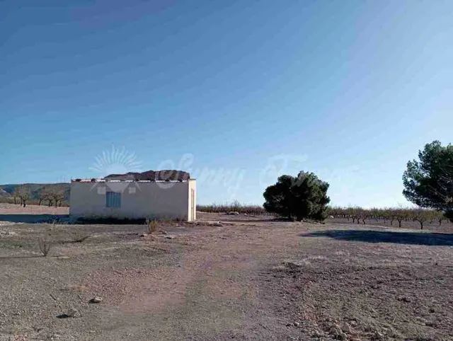 Casa de campo-Masía en Venta en Caudete Albacete - foto 5