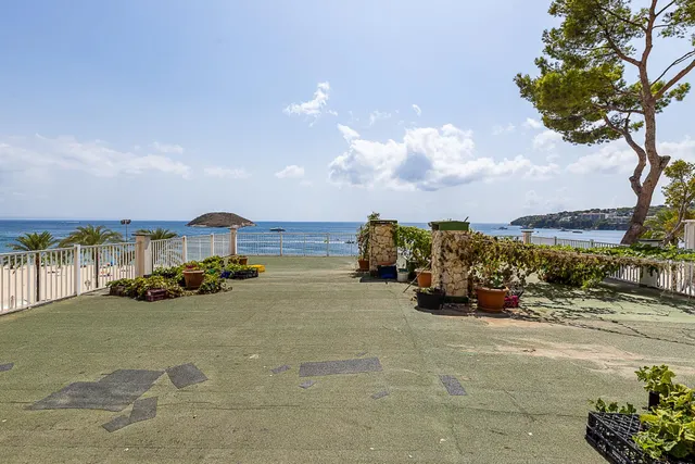 Local comercial en primera línea de playa en Magaluf — 17