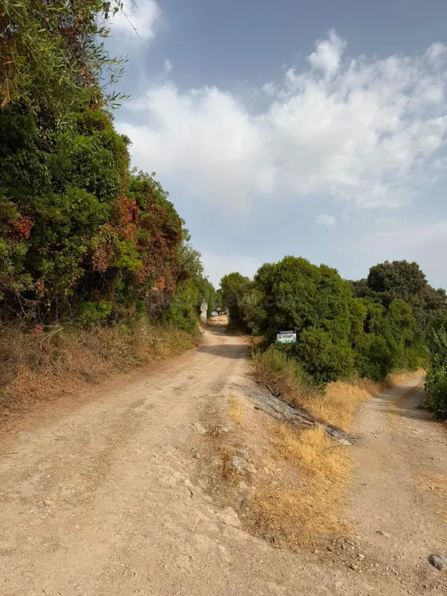 Finca Rústica en La Serena - Oportunidad Única - foto 3