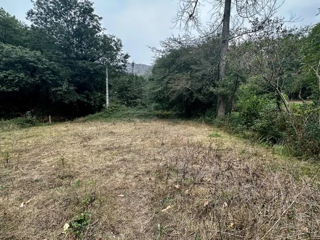 FINCA EDIFICABLE A 10 KM DE LA PLAYA — 6