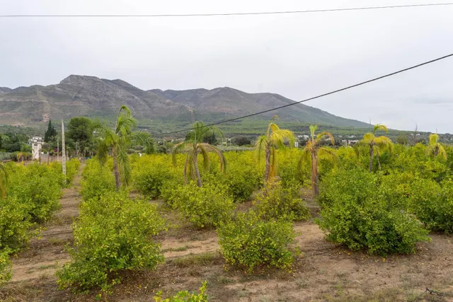 Exclusivo Chalet en Alhaurín el Grande con Piscina y Amplias Vistas — 48