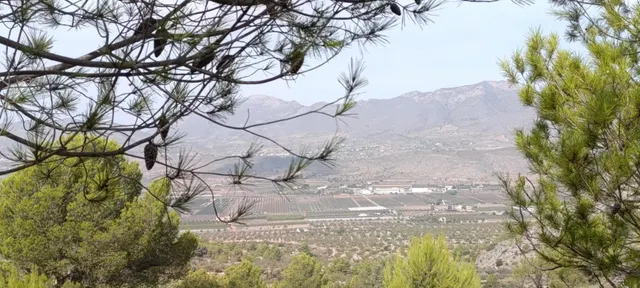 Encantadora Casa de Campo en Hondon de las Nieves - Oportunidad Única — 4